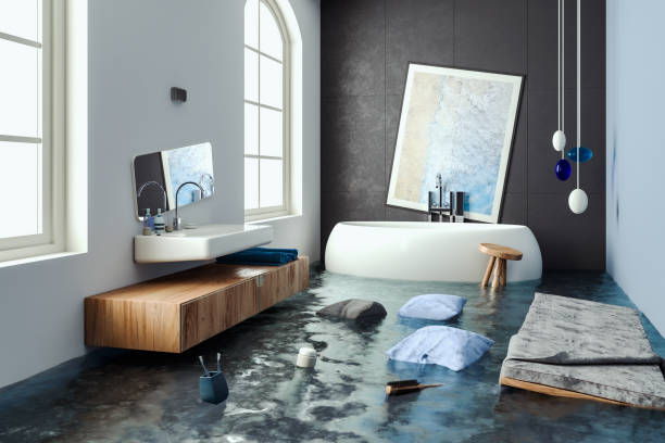 Sewage cleanup and water damage restoration in Brighton, IL