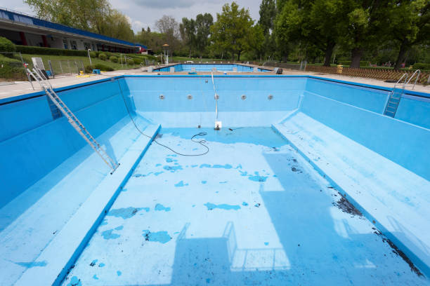 Best Flooded house restoration  in Brighton, IL
