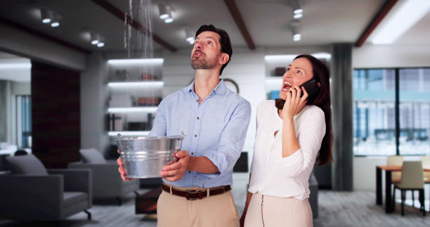 Best Ceiling water damage repair  in Brighton, IL