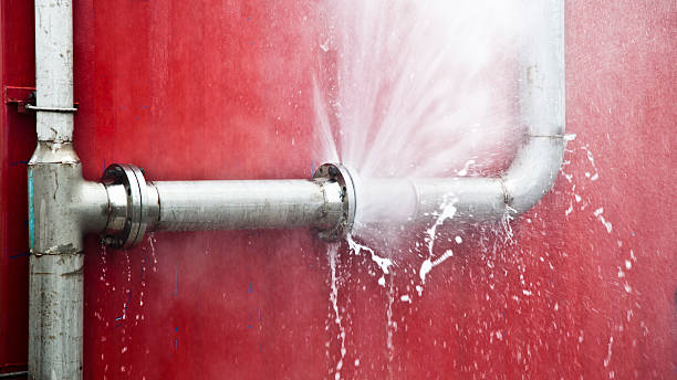 Best Local water damage restoration  in Brighton, IL